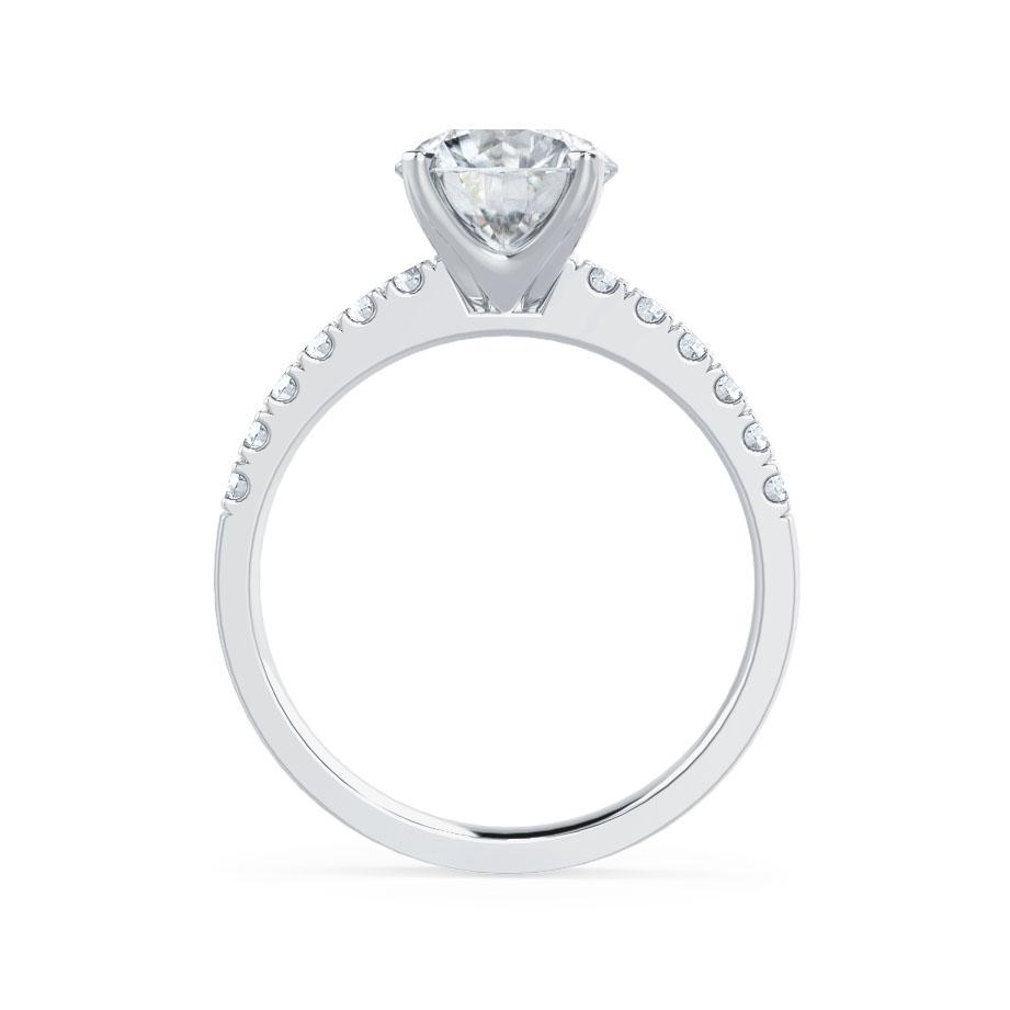 LAW017