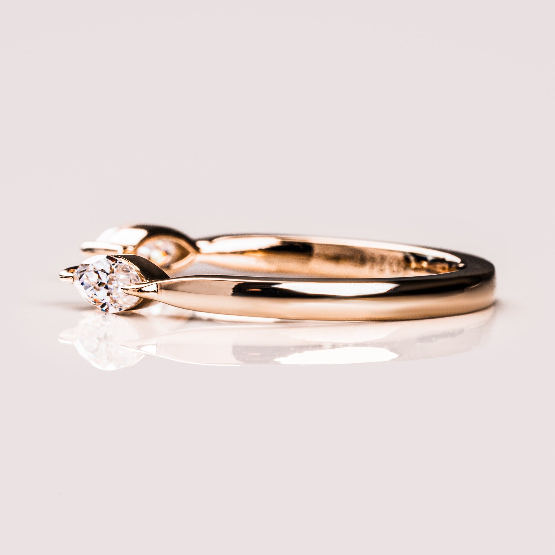 ZM113