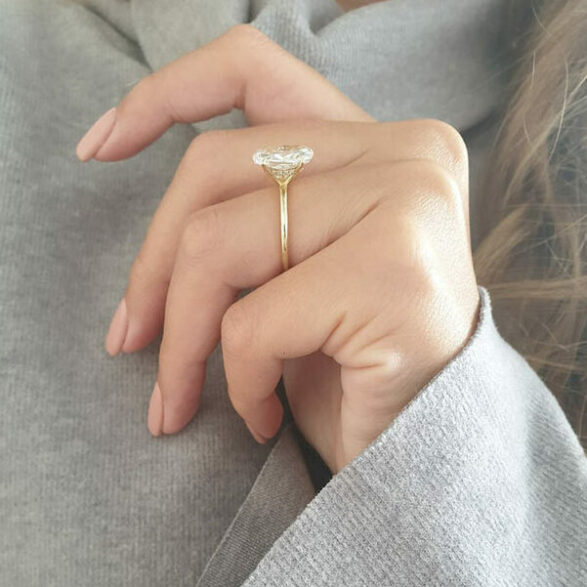 NSP010
